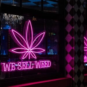 Cannabis